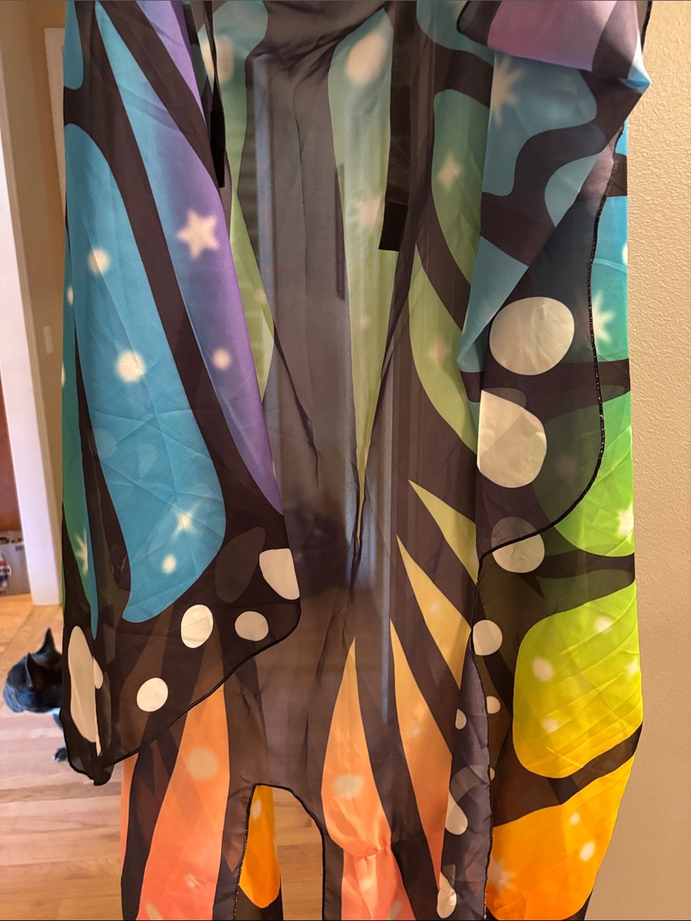 Claire's Multicolor Rainbow Butterfly Wings Costume